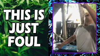 WEED MEMES & Fail Compilation [#202] - Fatally Stoned