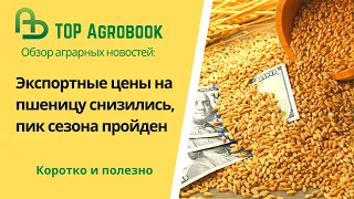 Экспортные цены на российскую пшеницу снизились, пик сезона пройден. TOP Agrobook: агроновости