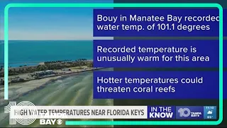 Water temp in Florida Keys hits mark that has climate scientists concerned