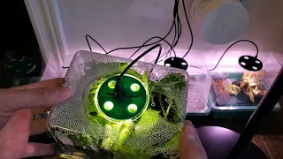 LED Seed Starter Update