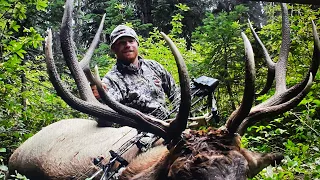 Giant WA 340'' (Godzilla Bull)#elkhunting #archery #bowhunting #backcountryhunting #elkshape