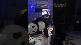 Panda şou (1ci hissə) (Pandanın maraqlı rəqsi)