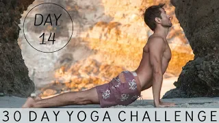 Yoga For Upper Body Strength | Yoga With Tim