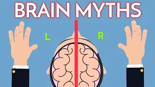 7 Brain Myths You Thought Were True