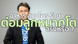 ชัวร์ก่อนแชร์ : อาหาร-สมุนไพร รักษาต่อมลูกหมากโต จริงหรือ ?