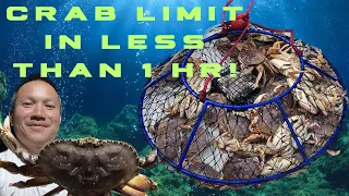 California Dungeness Crab Limit Achieved in Under 1 Hour