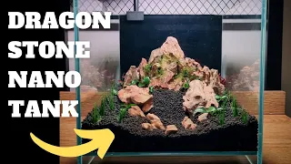 DRAGON STONE NANO TANK AQUARIUM SETUP