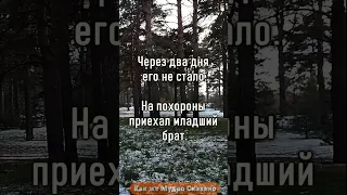 Самые Важные Слова в Жизни... #цитаты #мудрость #shorts