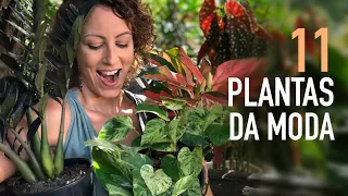 TOP 11 PLANTAS em ALTA pra DECORAÇÃO de CASA ou APARTAMENTO