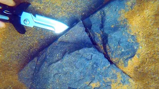 Underwater Metal Detecting OLD BRIDGE Treasure RARER than GOLD Found!!