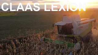 ✩Kukurydza na ziarno 2021✩Claas Lexion 580✩Vixa