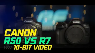 Canon R50 vs R7 | 10 Bit video mode comparison | HDR PQ vs Clog3