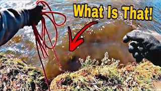 The Most Heartbreaking Magnet Fishing Find EVER - This Is NOT GOOD!!!