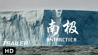 《Antarctica Photography Expedition》|《预告片：大马猫本在南极》