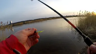 Первая весенняя рыбалка в 2021 году на МИКРОДЖИГ с берега.