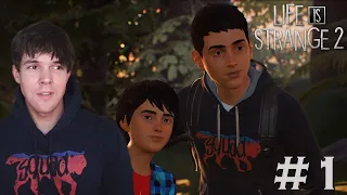 ONE OF THE SADDEST GAMES EVER - Life Is Strange 2. Episode 1: Roads (Full Game)