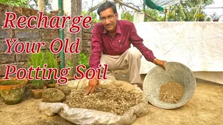 How to Revitalize your Old Potting Soil. The Total Procedure.