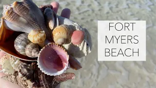 Winter shelling in Florida. Low tide gave me so many treasures and critter encounters!