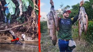 INACREDITAVEL, NUNCA VI TANTA TRAIRA GIGANTE EM UMA POCINHA TÃO PEQUENA, A ÁGUA DAVA NA CANELA