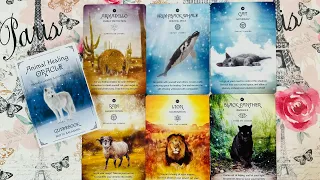 Animal Healing Oracle | Inspiration plus Chakra Healing, OH MY! | Walkthrough & Review