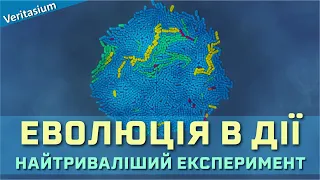 Найтриваліший еволюційний експеримент [Veritasium]