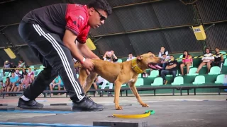 2° FUN SHOW OFICIAL DA ADBA EM BRASÍLIA