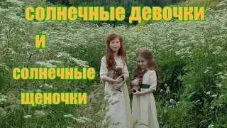 Солнечные дети и щенки. Питомник цвергпинчеров.