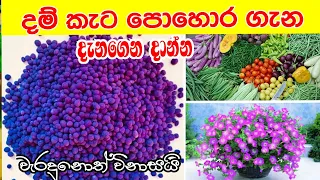 mal wagawa sinhala / දම් කැට පොහොර දැනගෙන දාන්න / gewathu wagawa sinhala / visithuru mal wagawa