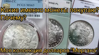 Моя коллекция долларов "Моргана". Принципы формирования?