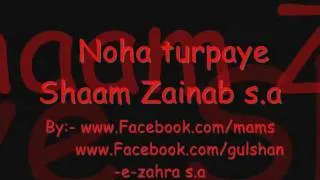 Tur paye shaam zainab