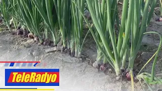 Kabayan | TeleRadyo (17 January 2023)