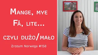 😏🤔 Mange eller mye? Få eller lite? Czyli dużo i mało po norwesku - Zrozum Norwega #158