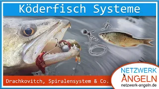 Köderfisch Systeme: Spinnfischen mit Natur pur!