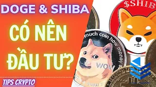 DOGE và SHIBA CÓ NÊN ĐẦU TƯ KHÔNG? - XU HƯỚNG NÀO CHO MEME COINS | TIPS CRYPTO