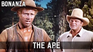 Bonanza - The Ape | Episode 46 | Wild West | Full Episode | English