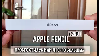 Apple Pencil (2nd Generation) | Просто стилус или что-то большее?