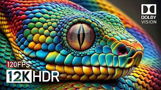 12K SUPER ULTRA HDR 120FPS  - DOLBY VISION