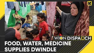 Israel-Palestine war: Displaced Gazans use seawater amid freshwater shortage | WION Dispatch