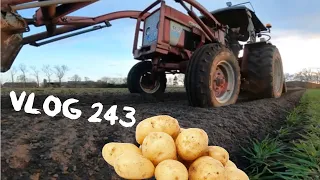 Farmvlog #243 |  Kartoffellegen wie früher