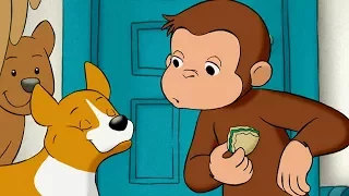 Jorge el Curioso en Español | Jorge Cuenta los Perros | Dibujos animados para niños