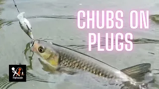 Casting Plugs for Chubs