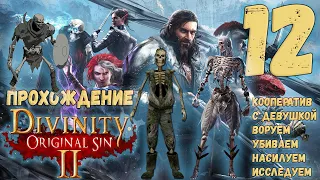 Быстрое убийство надоедливых скелетов ► Divinity Original Sin 2 [#12]