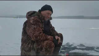 В Память о Друге и Коллеге...