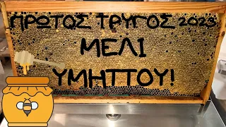 ΤΟ ΚΟΡΙΤΣΙ ΜΟΥ ΕΙΝΑΙ ΜΕΛΙ ΜΕΛΙ🍯🍯🍯