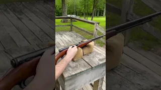 Bolt Action/Semi-Auto .22 rifle