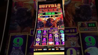Amazing Buffalo Link Bonus Game with multiple Jackpots on a $5.00 Bet