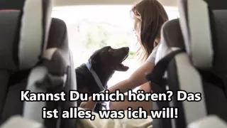 Heute bin ich gestorben - von Dukey Roberts dem Hund