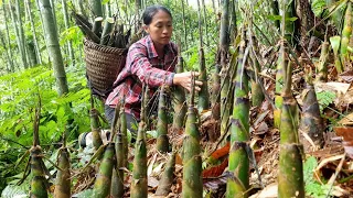 Harvest & process bamboo shoots goes to the countryside market to sell | Triệu Thị Dất