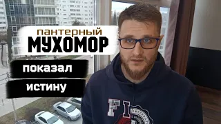 Мухоморы / Мы уникальные биороботы...