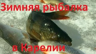 Диалоги о рыбалке -  203 - Зимняя рыбалка в Карелии